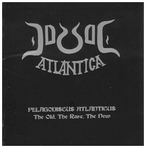 Pelagodiscus Atlanticus - The Old, The Rare, The New